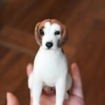 c5ff8b73 e6a8 4cf4 81a7 533ba9a06fef