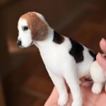 d178ab38 9e86 496c 8bcd 104103f89c07