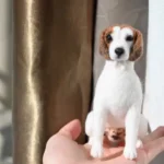 src=http safe img.xhscdn.com bw1 0b56ba09 cfa7 4e3a 88d5 fa97e5bb6844 imageview2 2 w 1080 format jpg&refer=http safe img.xhscdn